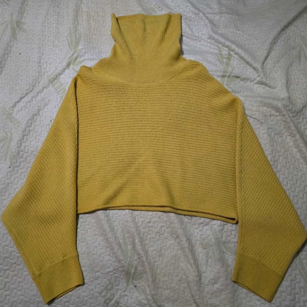 Aritzia Wilfred free Batwing